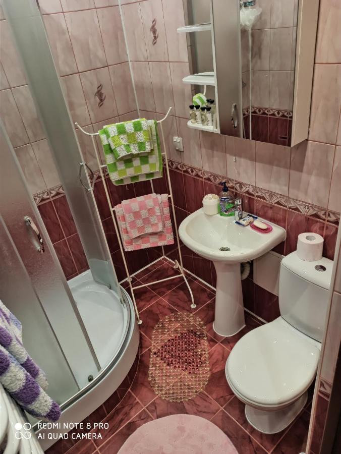 Apartment On Krainego Str 27 Slonim Eksteriør billede